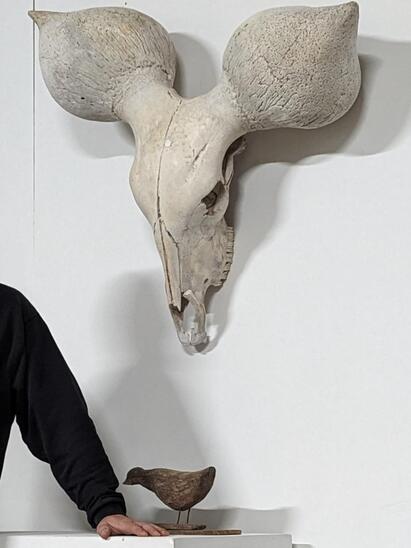 Curiosity ! Kouri trophy. 